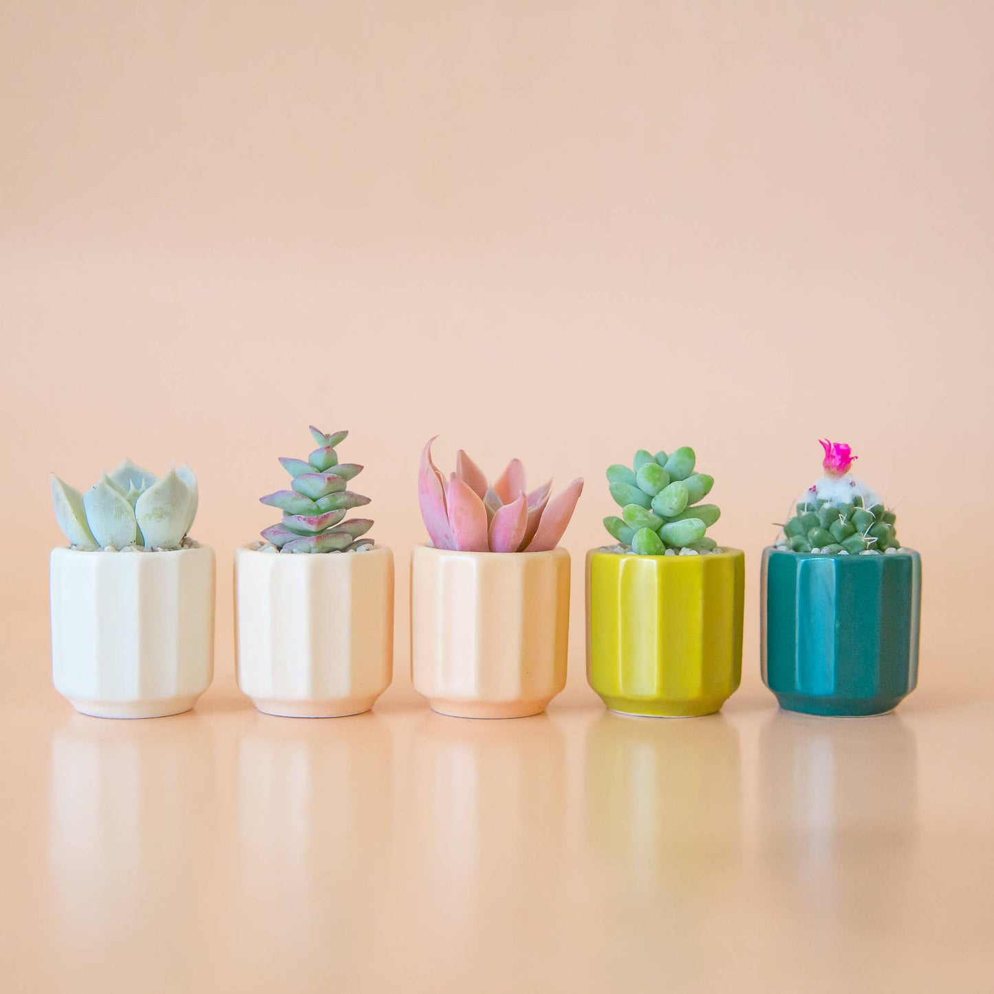 Mini Monroe Planter