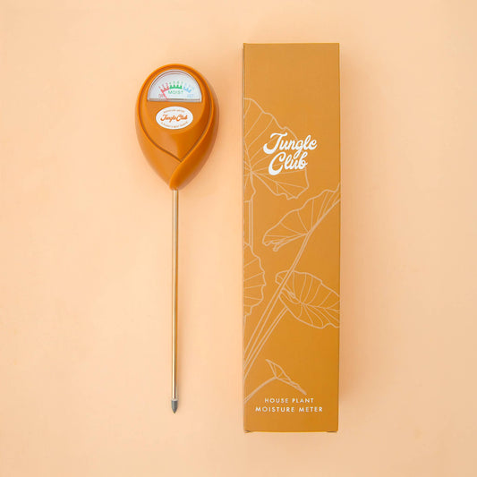Moisture Meter | Orange