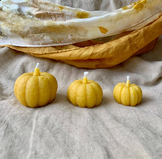 100% Beeswax Candles - Fall Pumpkins (small textured)