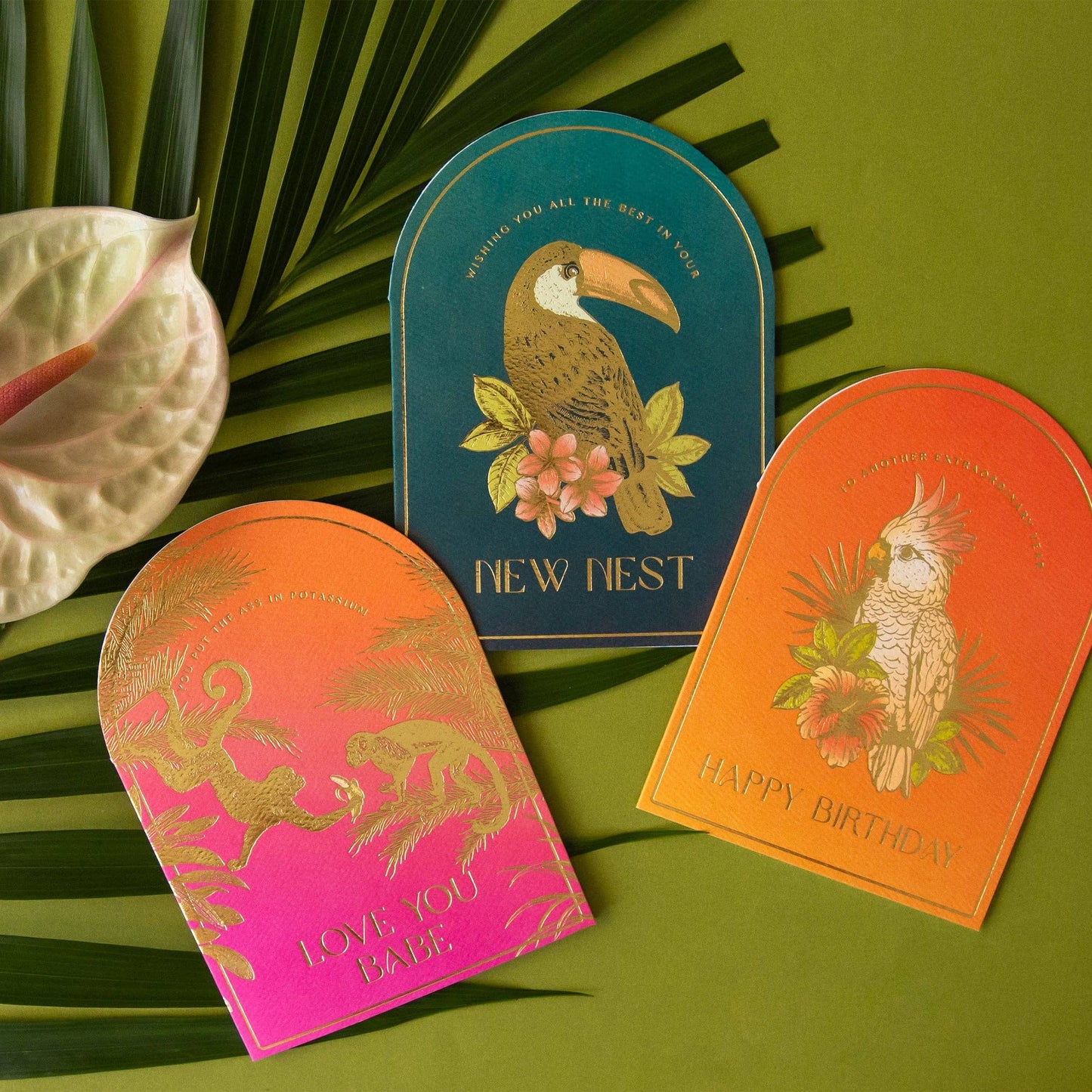 Best in Your New Nest Card | Toucan