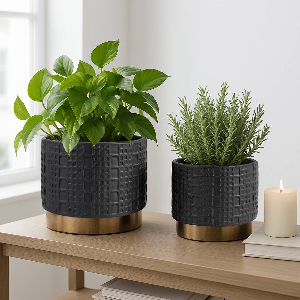 Ceramic Raised Mesh Planter - Black, 6 in