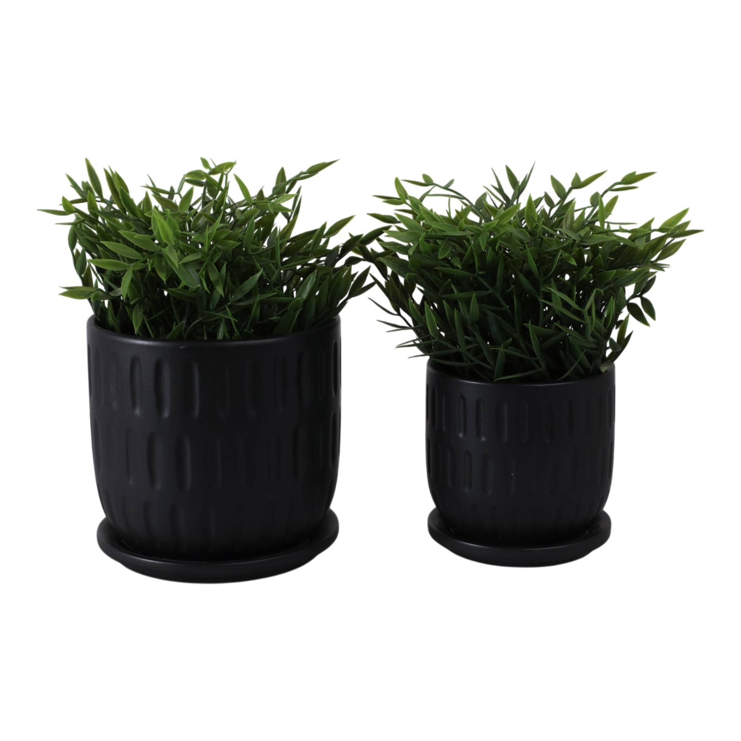 Ceramic Textured Saucer Planters - Black