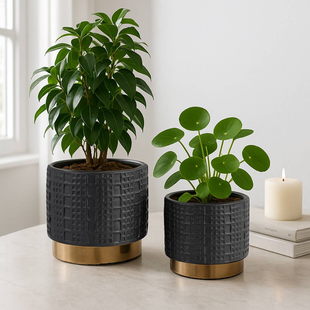 Ceramic Raised Mesh Planter - Black, 6 in