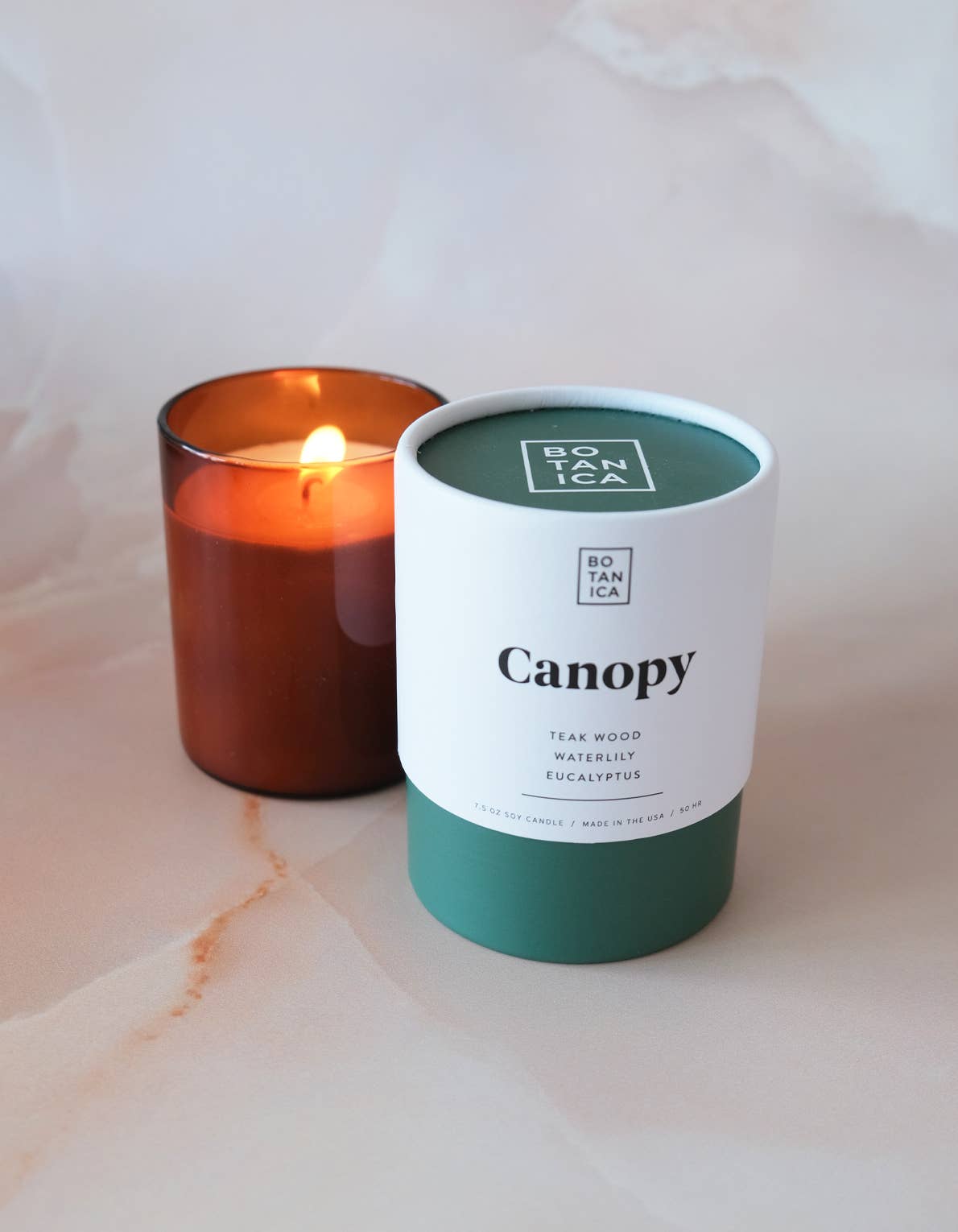Canopy Medium Candle | 7.5oz