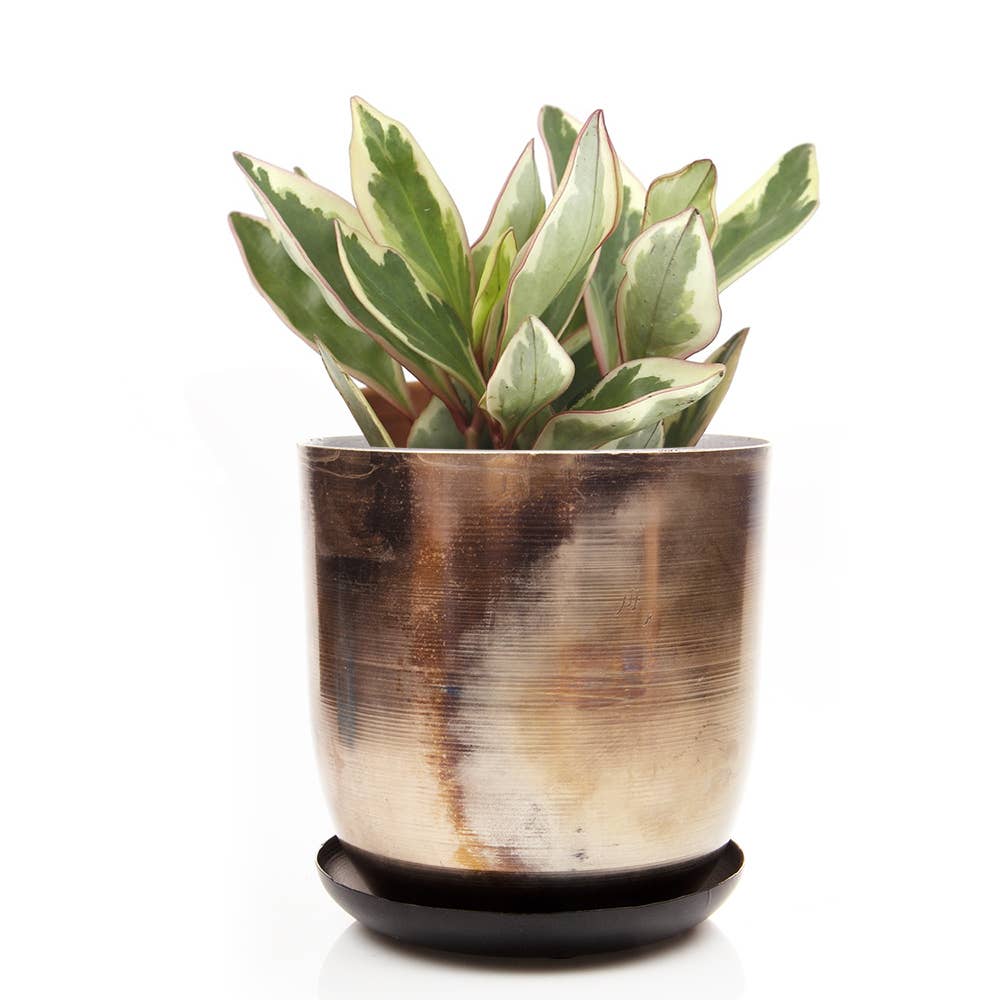 Metal Two Tone Pot - Joe Drainage 3.5-5in 8 Colors