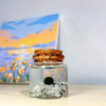 Small Marimo Moss Ball Terrarium with Moonstone Gemstones
