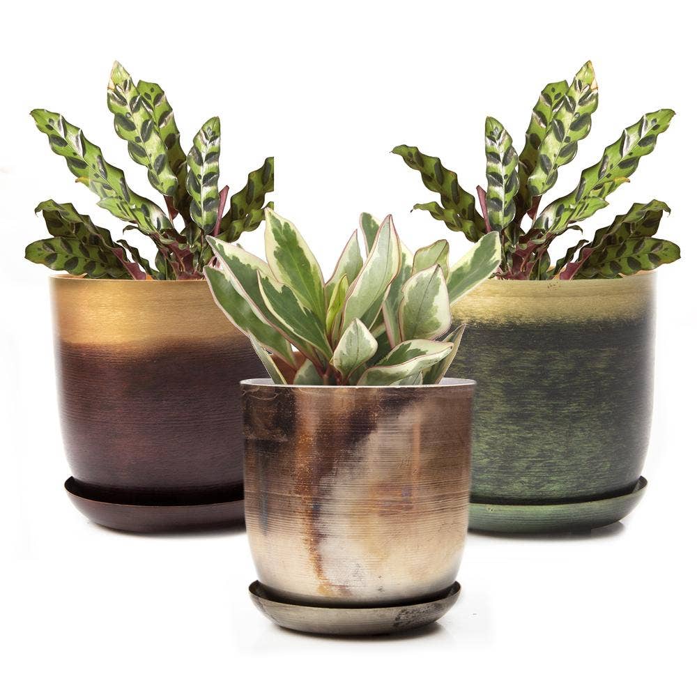 Metal Two Tone Pot - Joe Drainage 3.5-5in 8 Colors