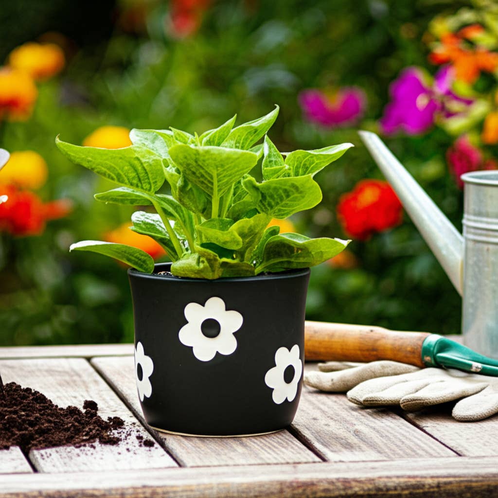Black/White Ceramic Raised Flower Power