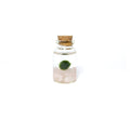 Tiny Marimo Moss Ball Terrarium with Rose Quartz Gemstones