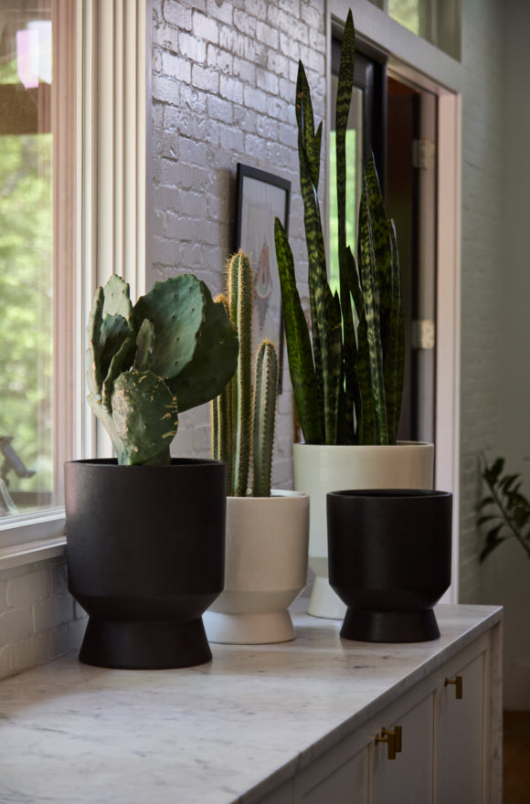 Elliott Pot