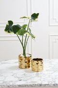 Architect Pot 4”
