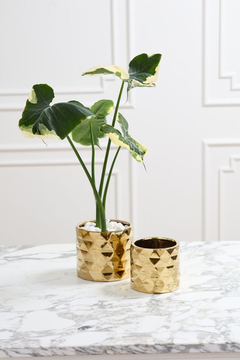 Architect Pot 4”