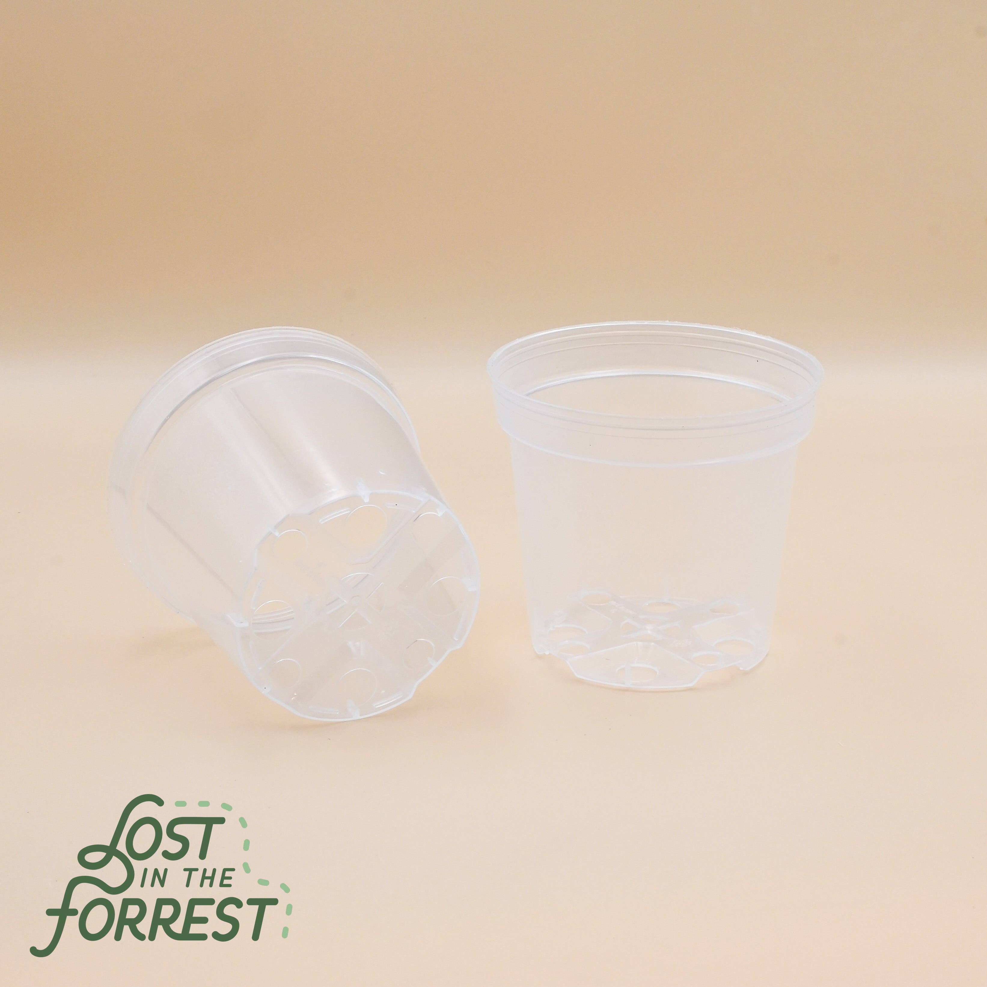 Clear Nursery Pots