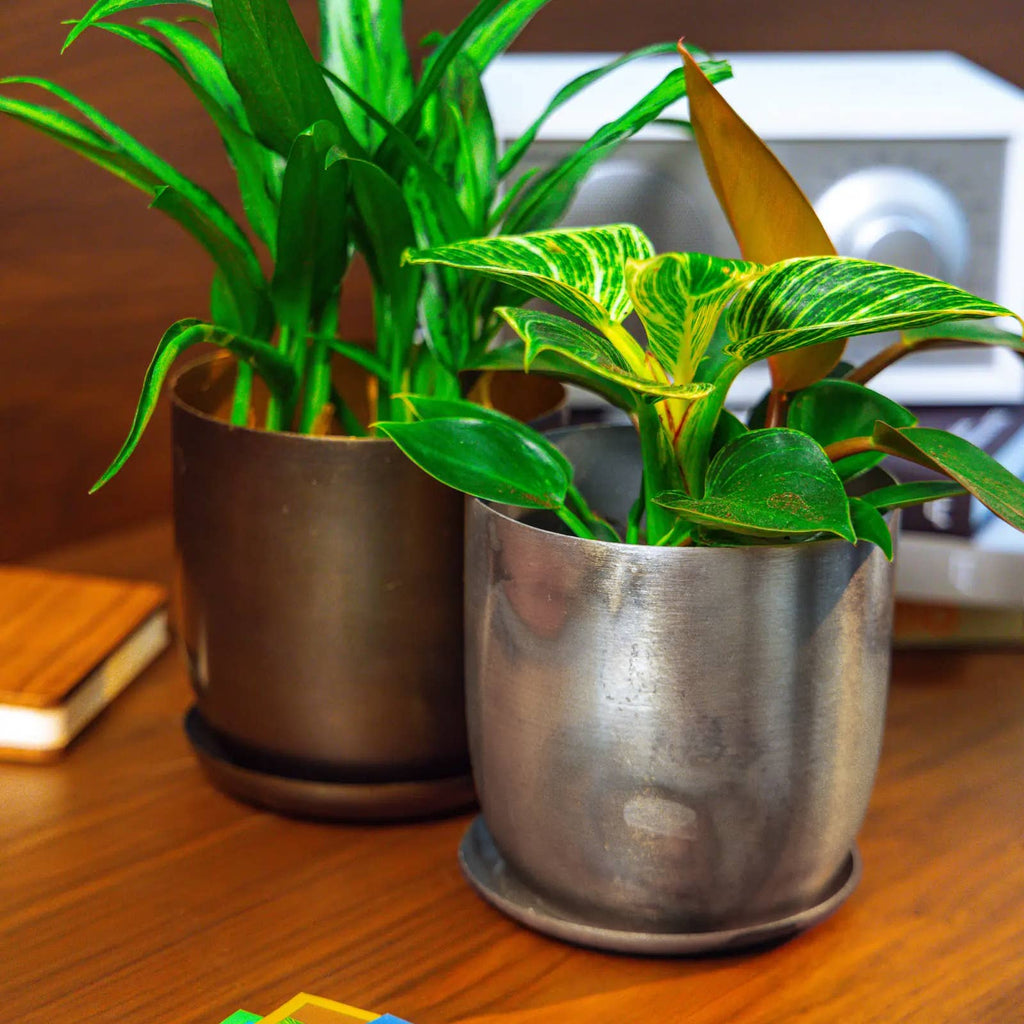 Metal Two Tone Pot - Joe Drainage 3.5-5in 8 Colors