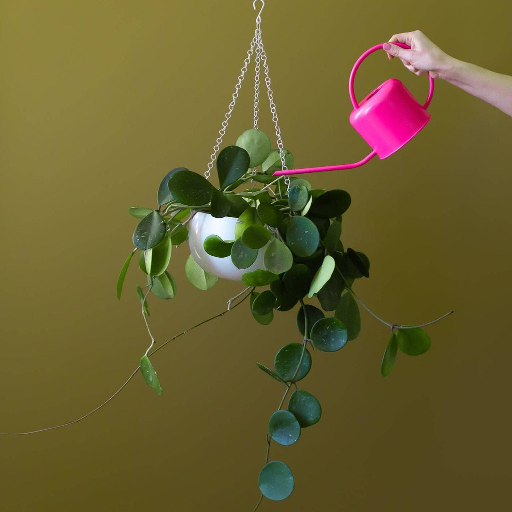 Cleo Hanging Planter | White | Set of 2