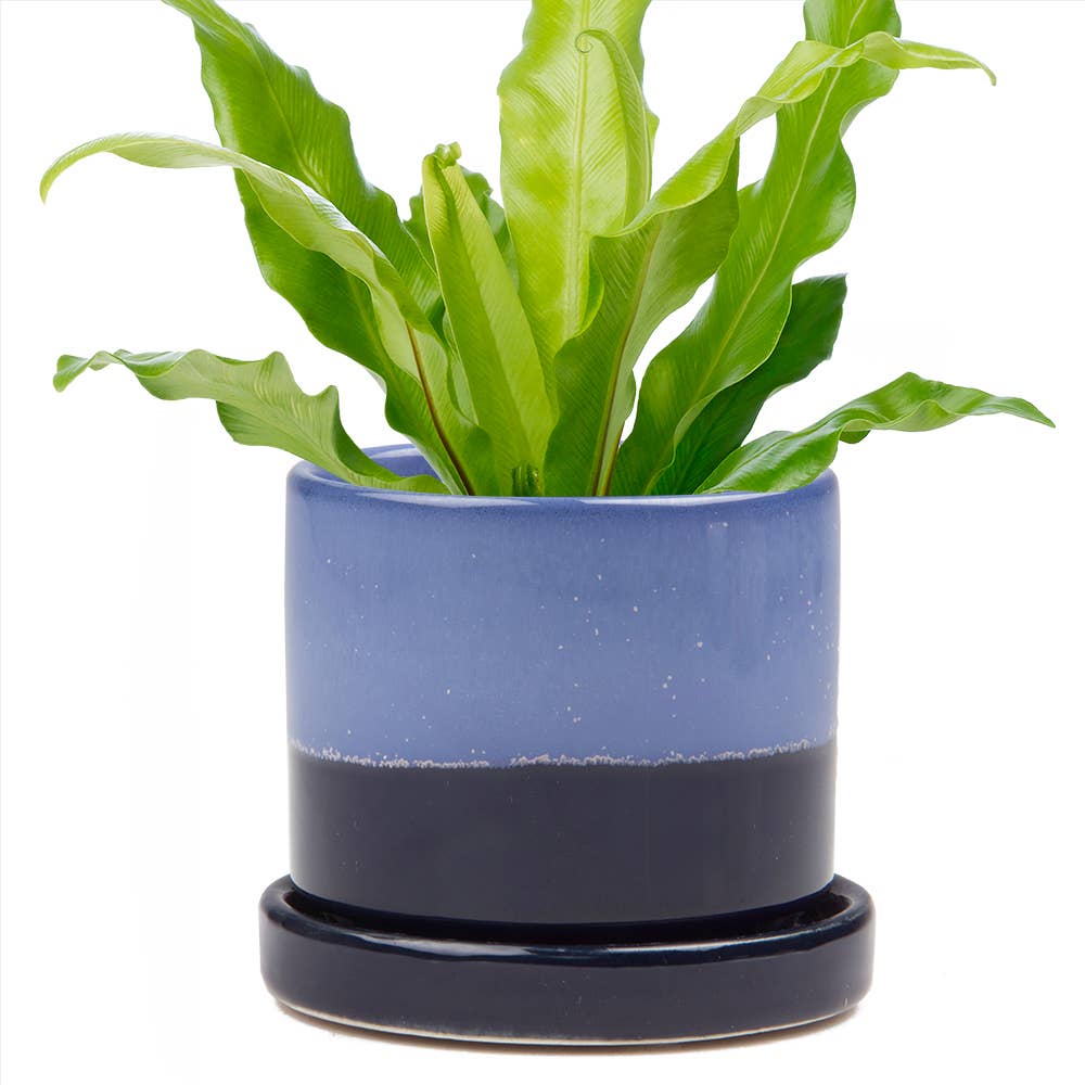 Ceramic Pot With Drainage Hole - Minute 2 Sizes 16 Colors