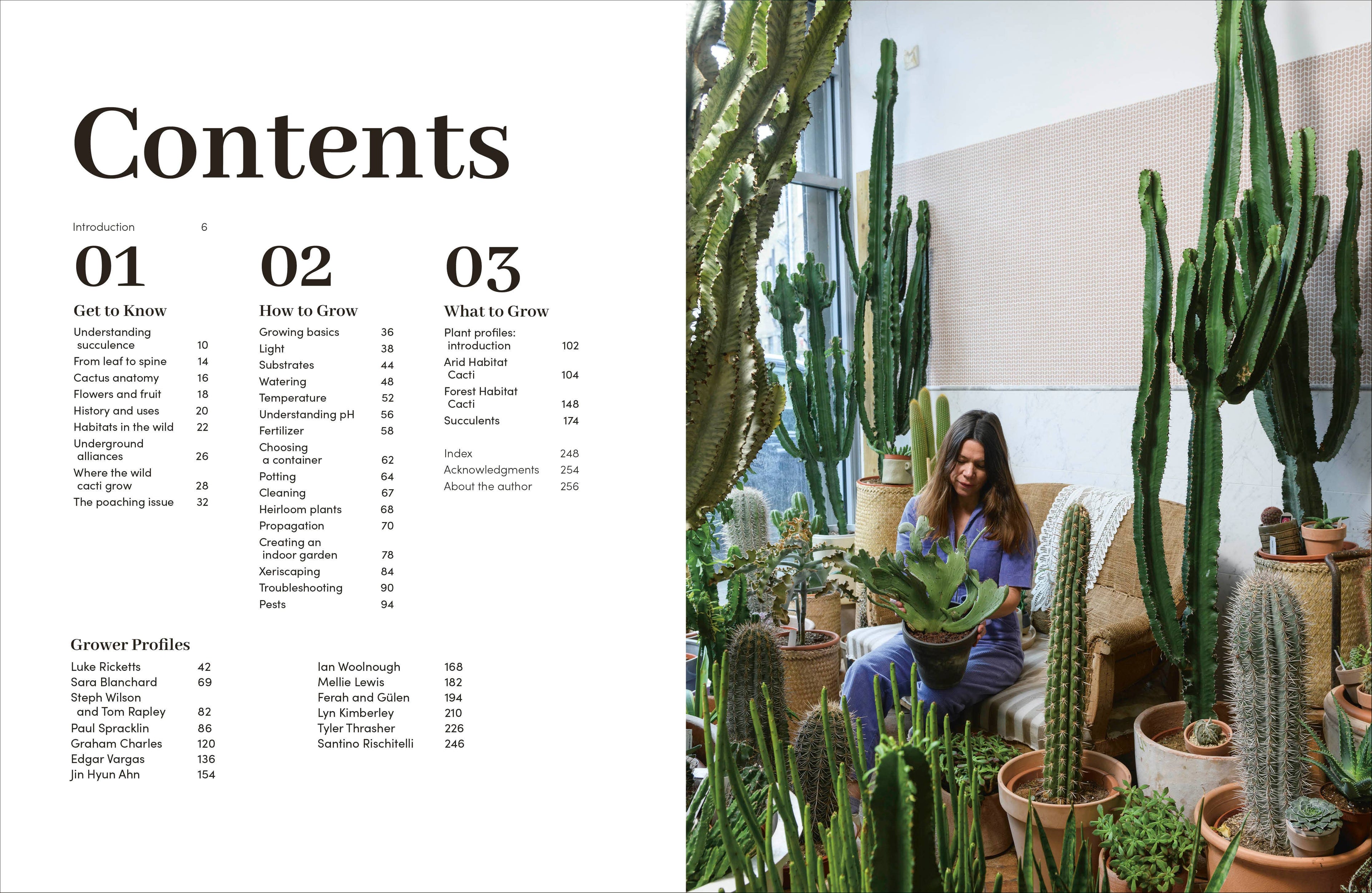 Cacti Succulents