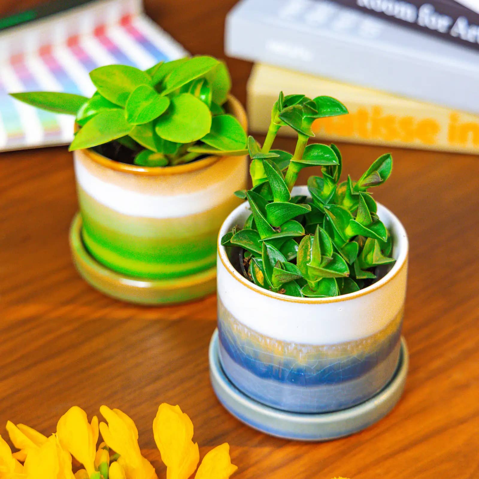 Ceramic Pot With Drainage Hole - Minute 2 Sizes 16 Colors