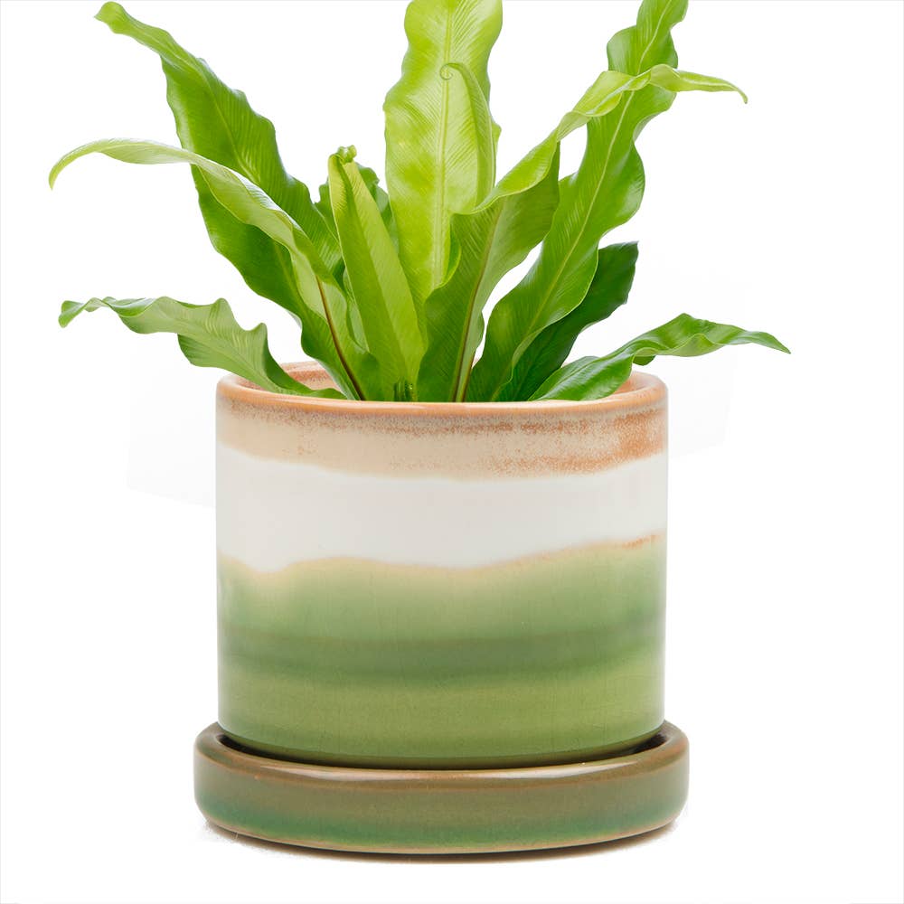 Ceramic Pot With Drainage Hole - Minute 2 Sizes 16 Colors