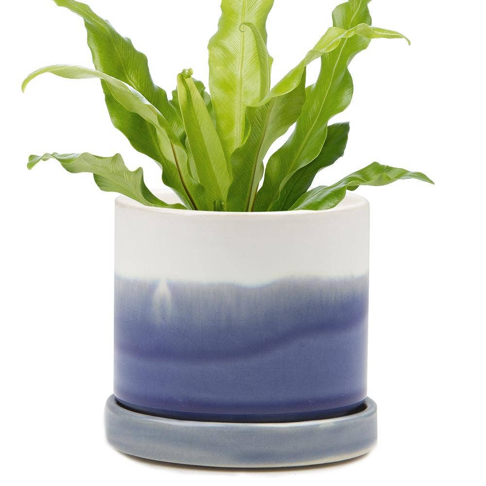 Ceramic Pot With Drainage Hole - Minute 2 Sizes 16 Colors