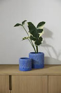Refresh pot