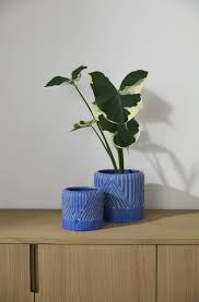 Refresh pot