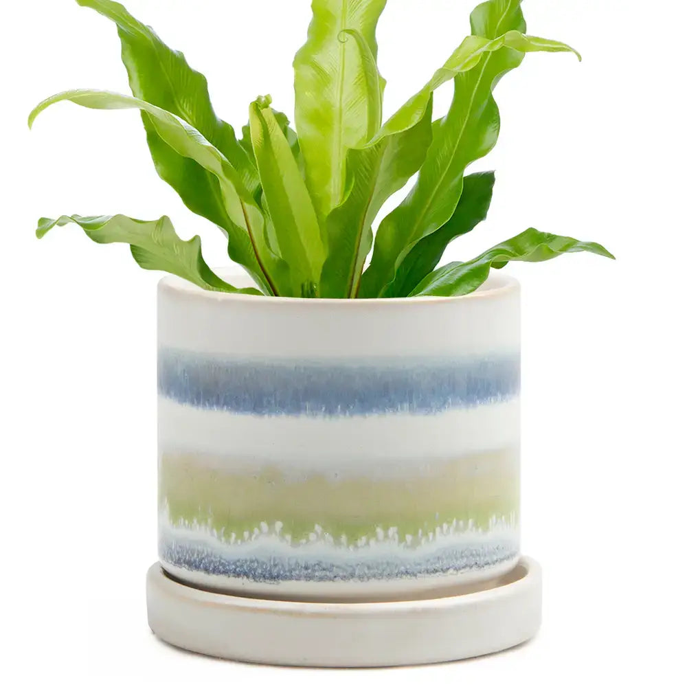 Ceramic Pot With Drainage Hole - Minute 2 Sizes 16 Colors