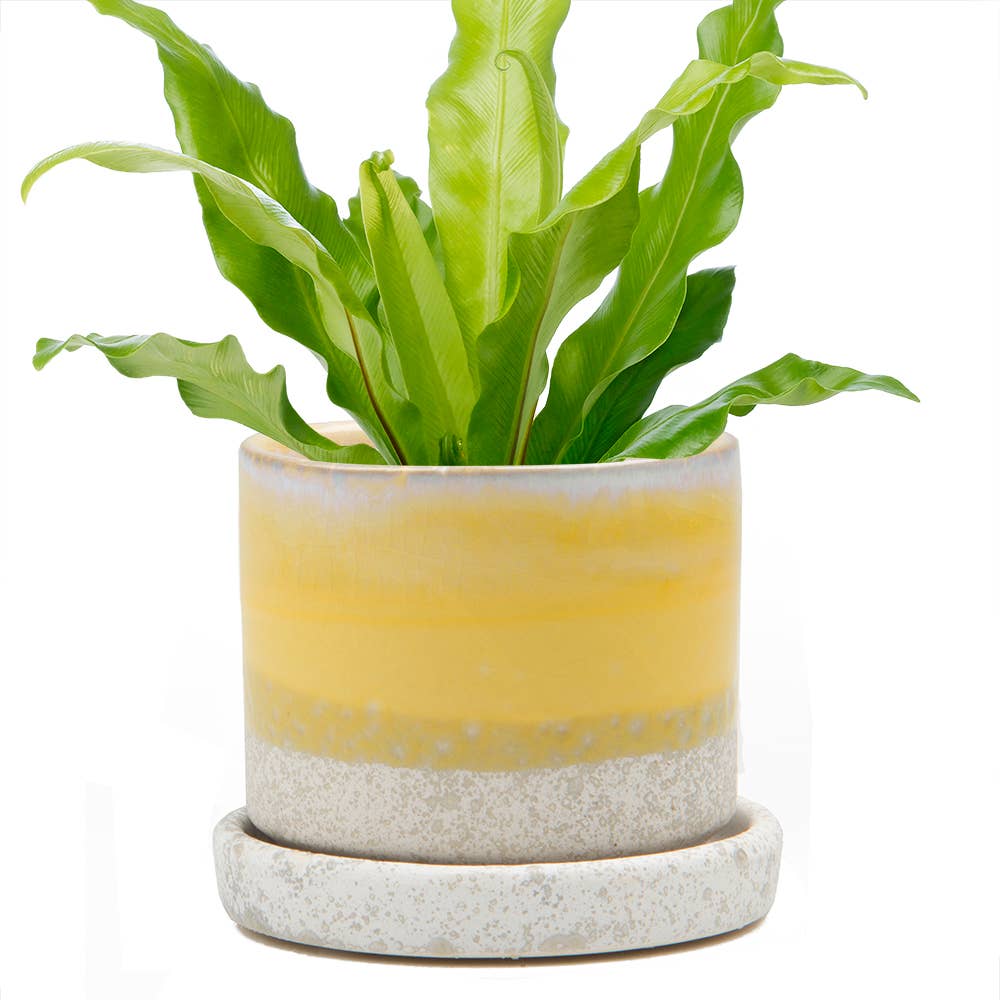 Ceramic Pot With Drainage Hole - Minute 2 Sizes 16 Colors