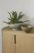 Beeline Bowl with Saucer