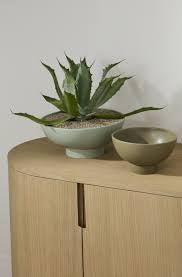 Beeline Bowl with Saucer