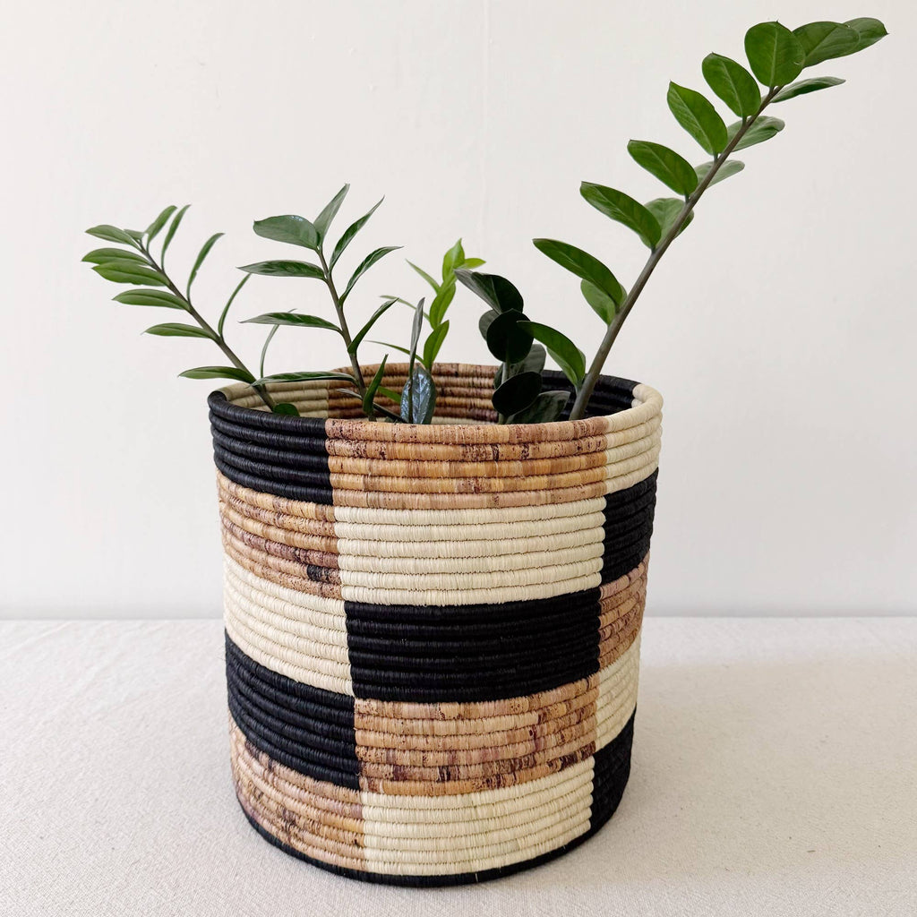 Storage Plant Basket: Zindiro