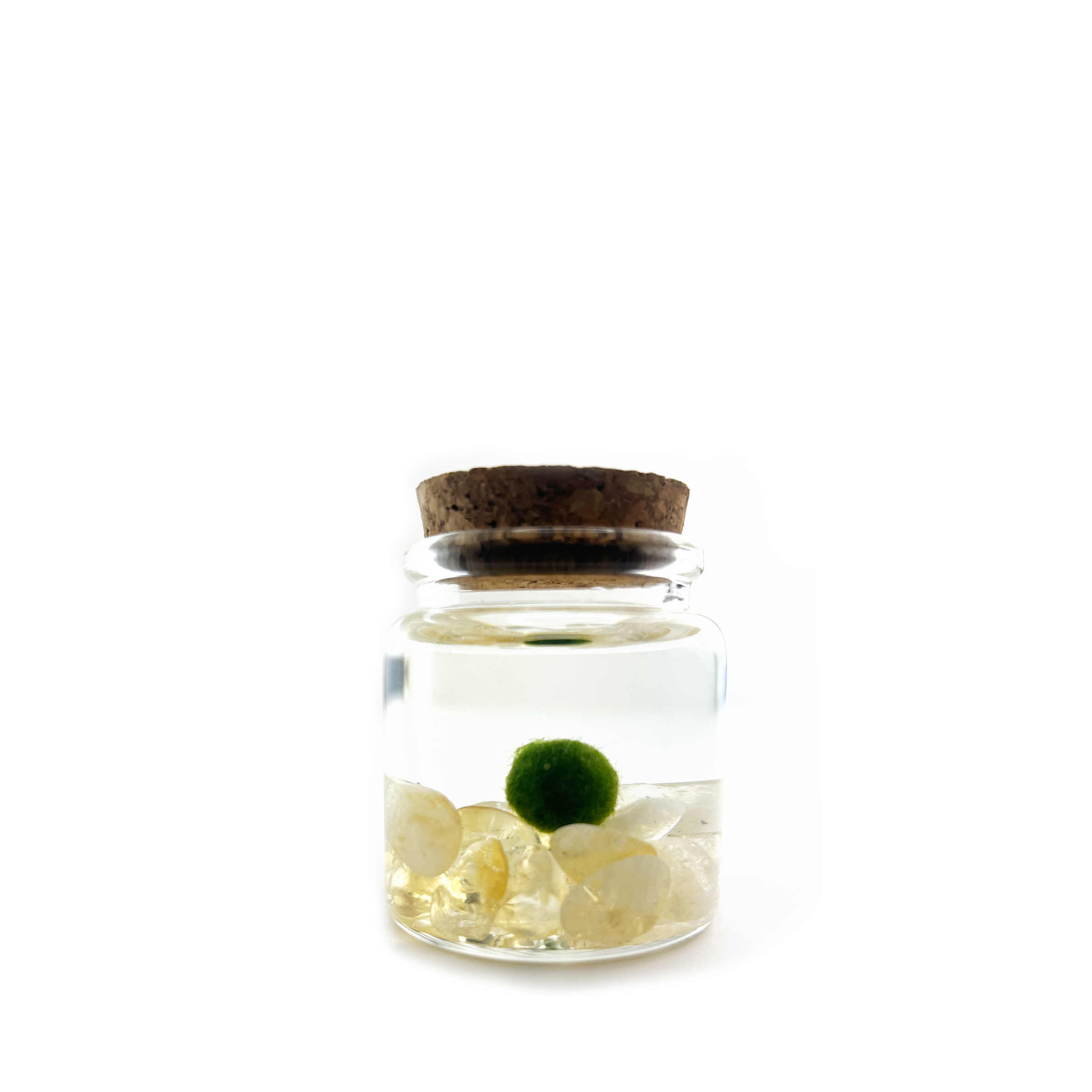 Small Marimo Moss Ball Terrarium with Citrine Gemstones