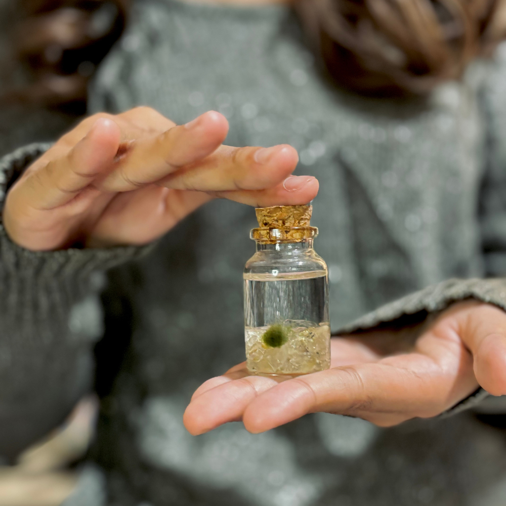 Tiny Marimo Moss Ball Terrarium with Golden Quartz Gemstones