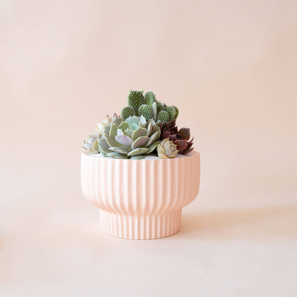 Presley Pedestal Planter | Ballerina