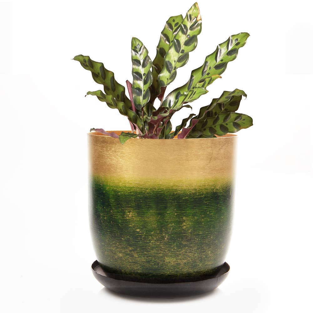 Metal Two Tone Pot - Joe Drainage 3.5-5in 8 Colors