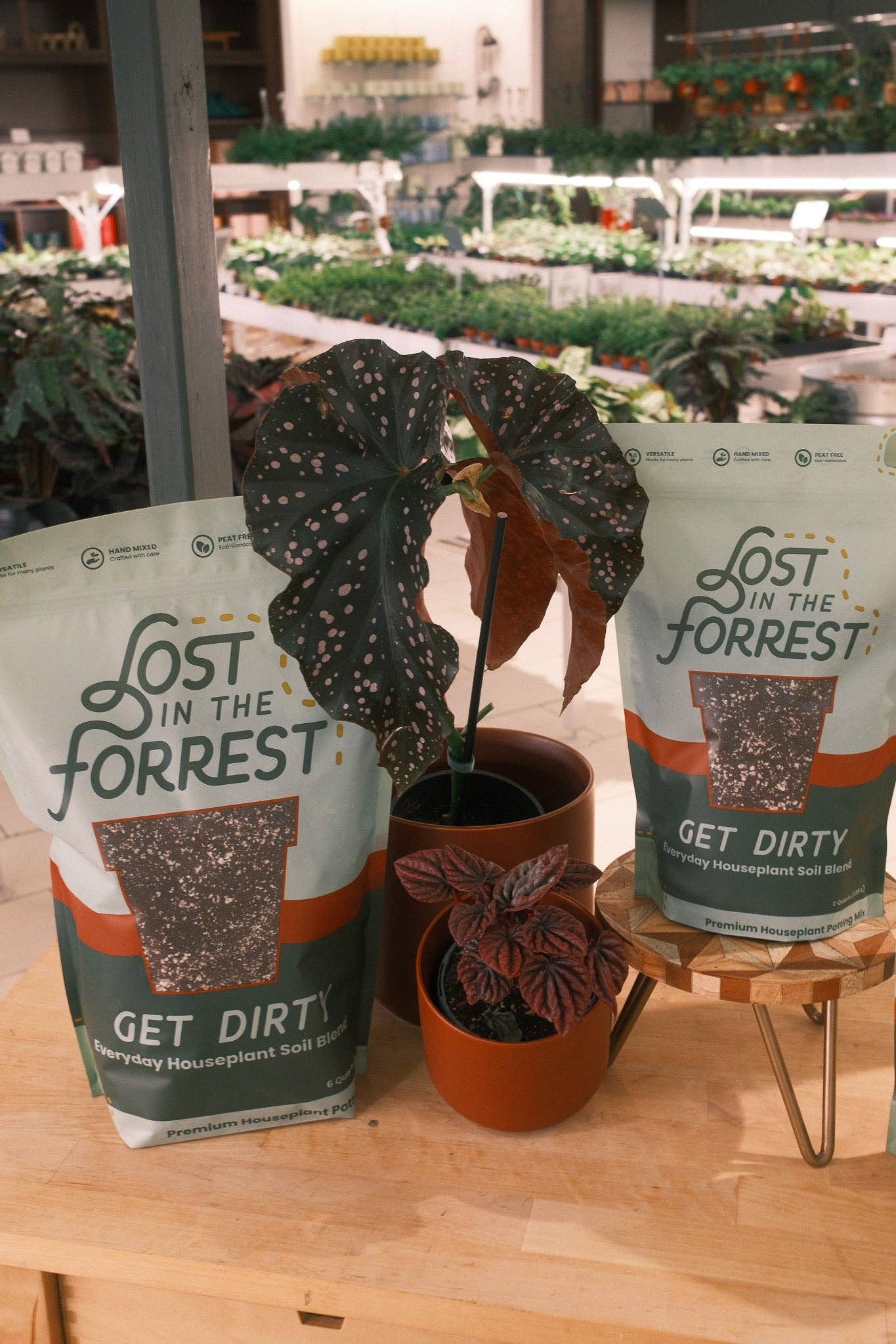 Get Dirty | Everyday Houseplant Soil Blend