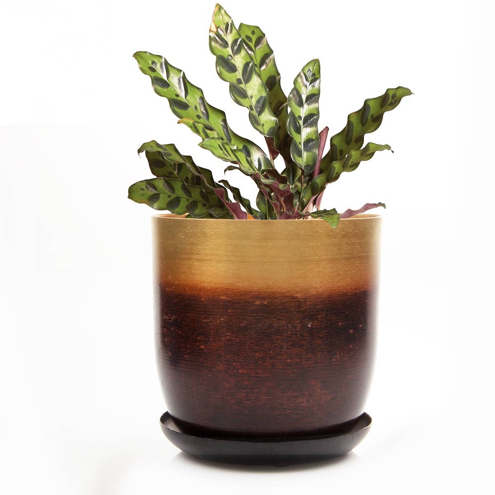 Metal Two Tone Pot - Joe Drainage 3.5-5in 8 Colors