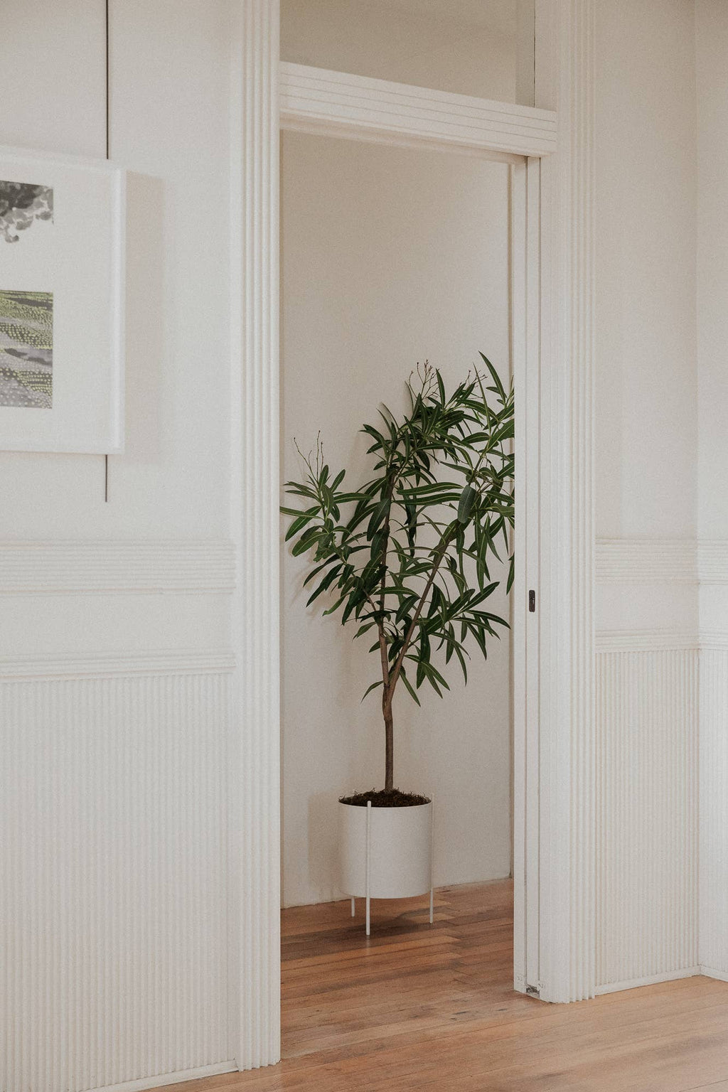 Large White Botanic Plant Pot with Stand