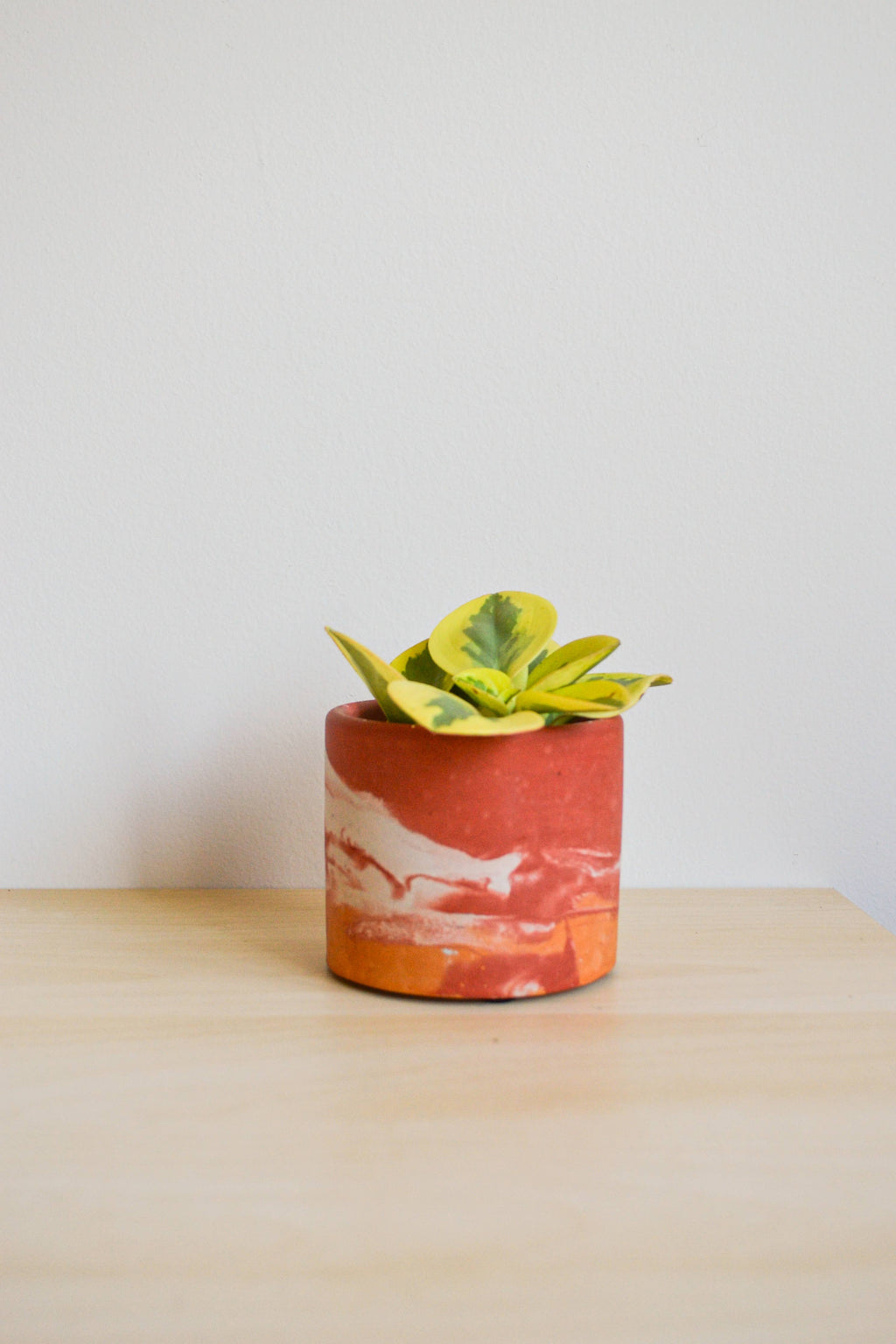 Rust & Orange Watercolor Planter | Multiple Sizes