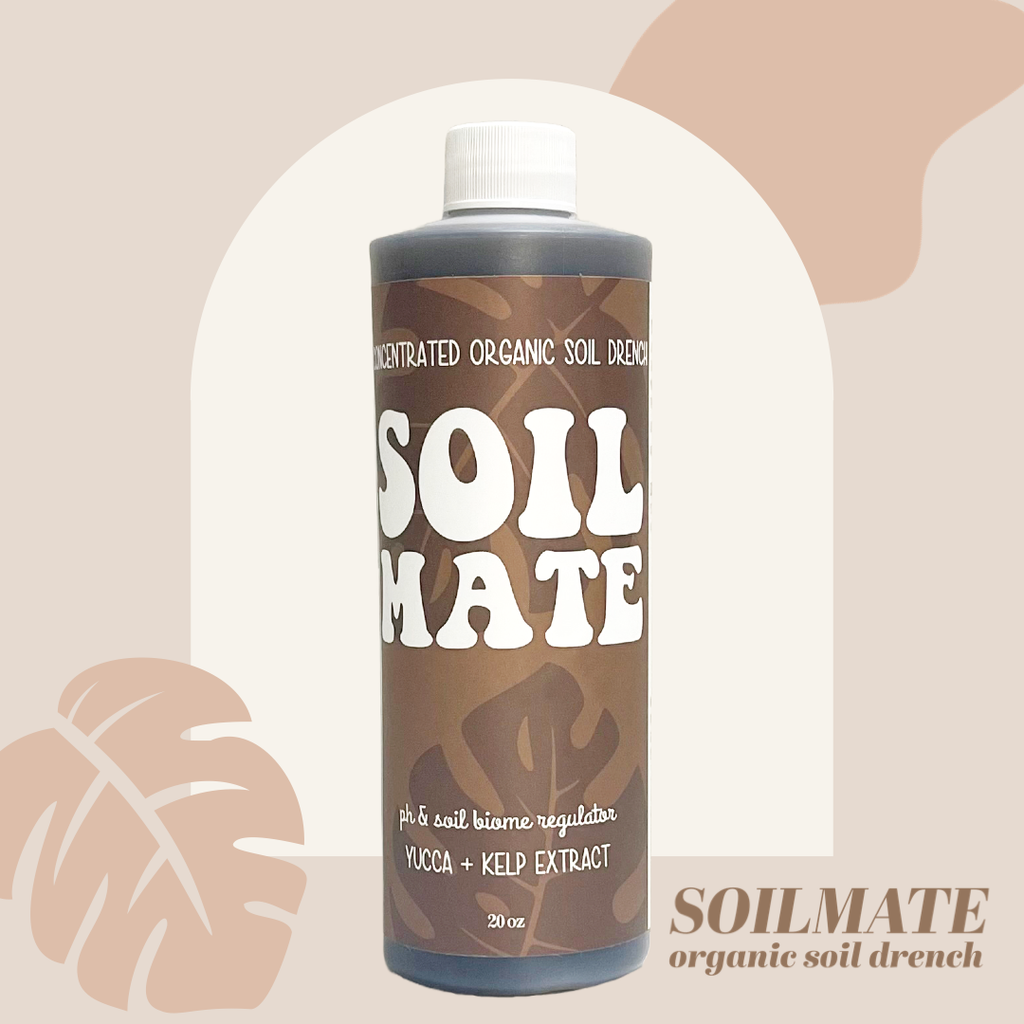Plant Care Mix N' Match Case  - ANY 3