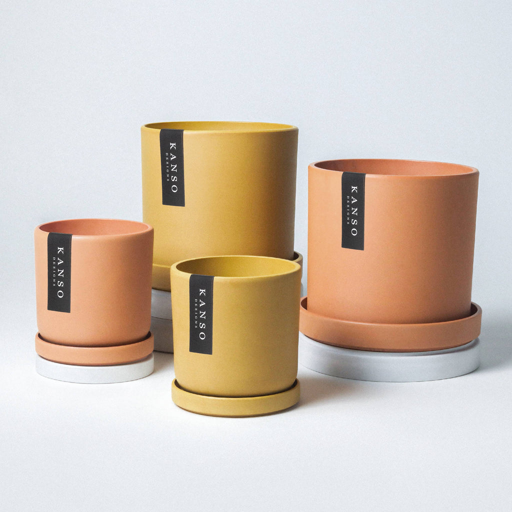 7" & 4" Mustard Seed & Dusted Clay Planters & Saucers