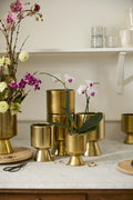 Gold De Vil Pot