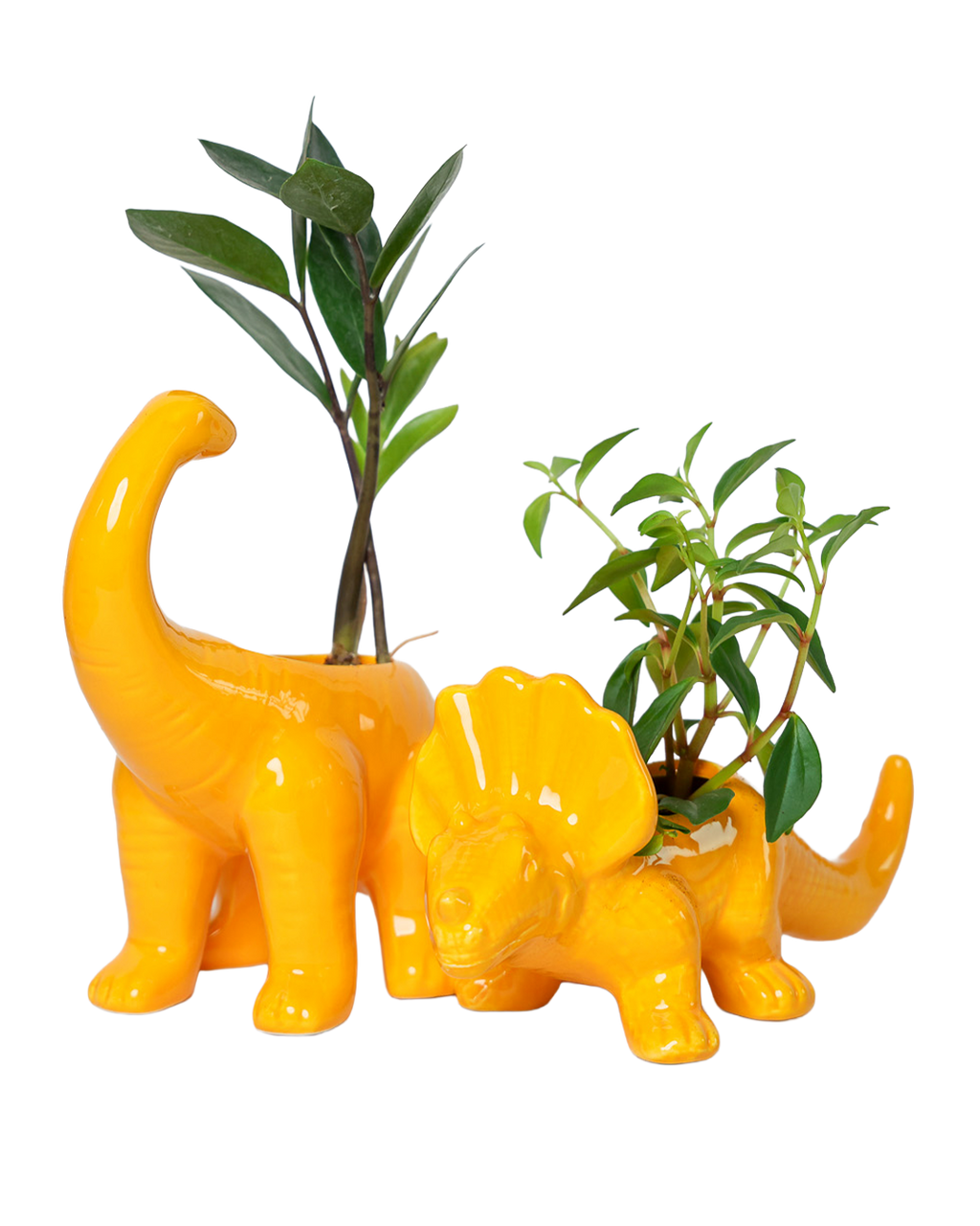 Dinosaur Ceramic Indoor Plant Pot Kits
