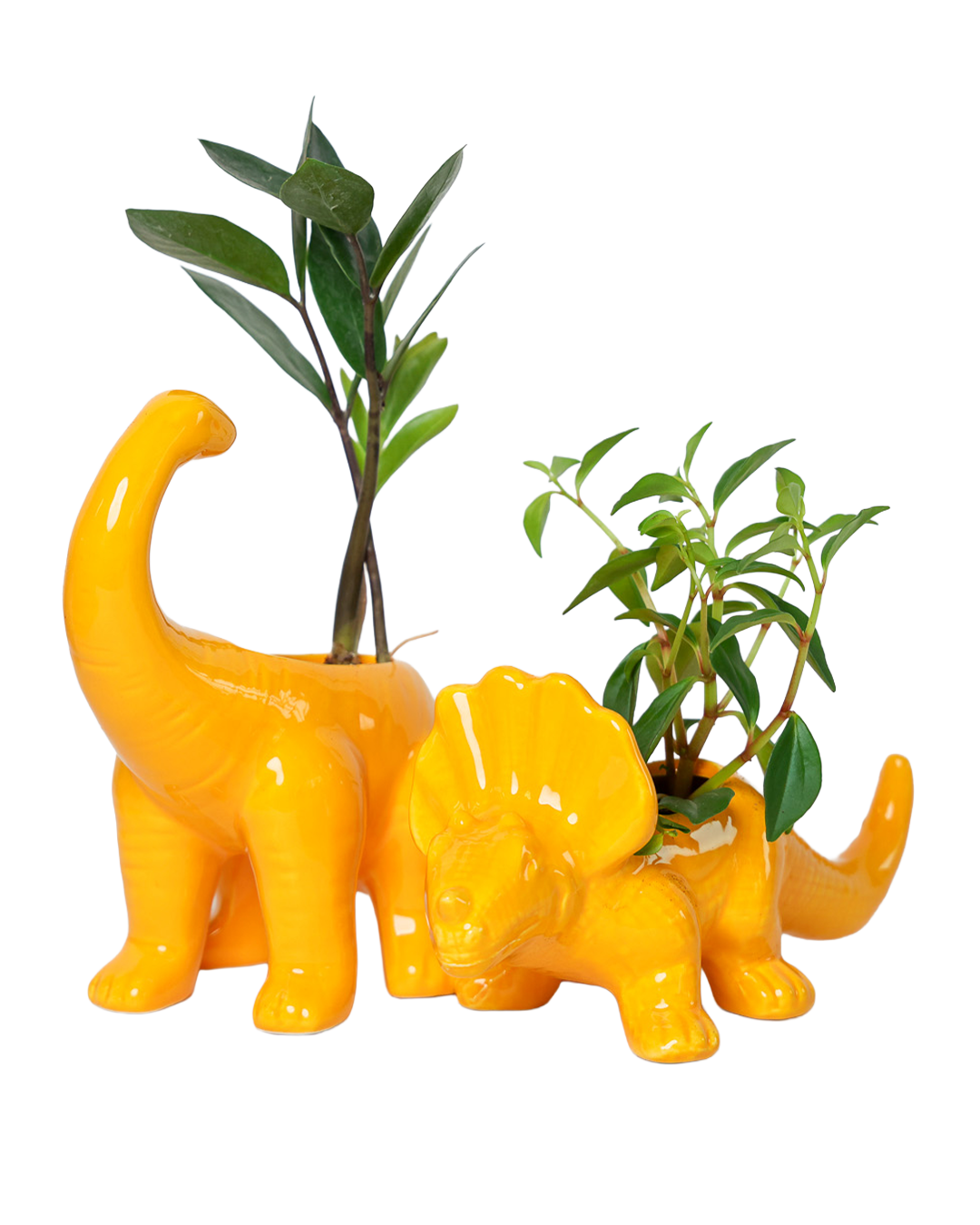 Dinosaur Ceramic Indoor Plant Pot Kits