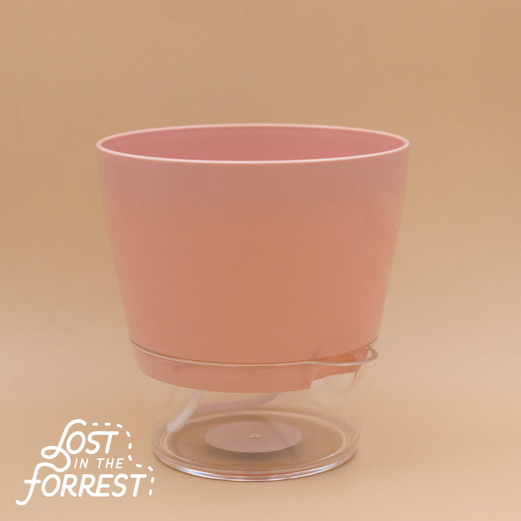 Padua Self-Watering Planter 6"