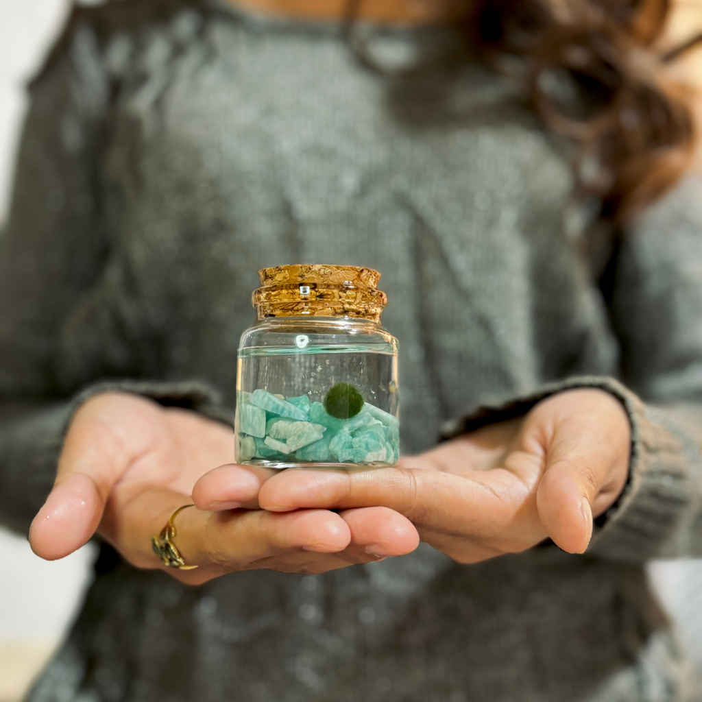 Small Marimo Moss Ball Terrarium with Aventurine Gemstones