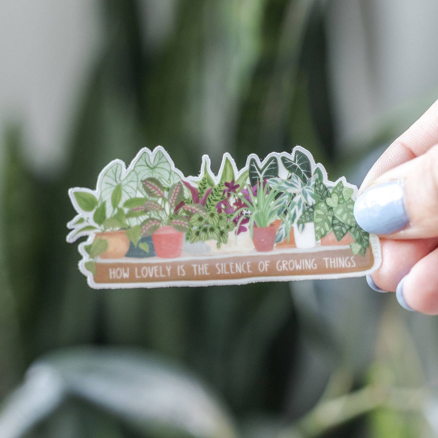 Houseplants Clear Decal Sticker