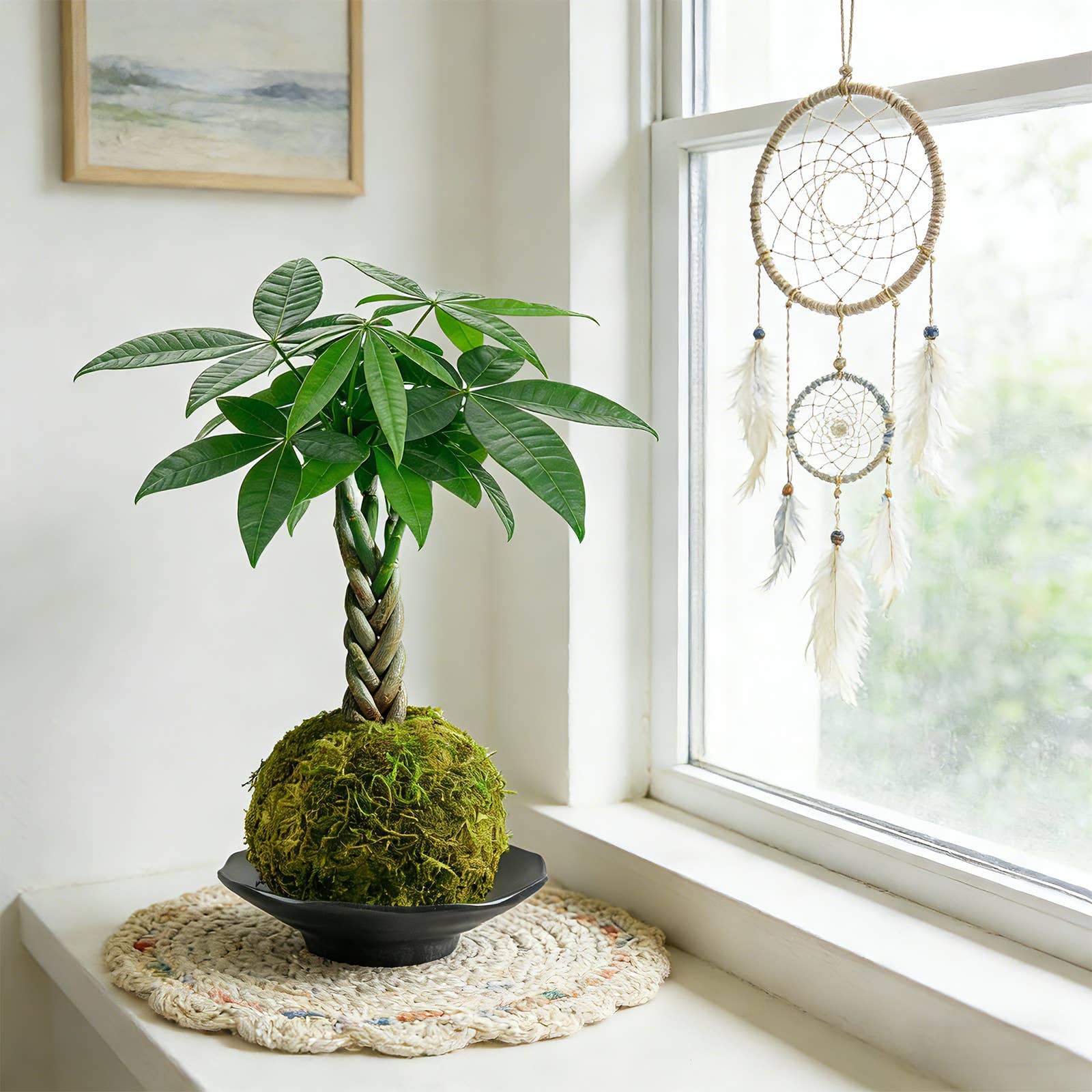 Money Tree Kokedama Braided Handcraft Moss Ball Houseplant