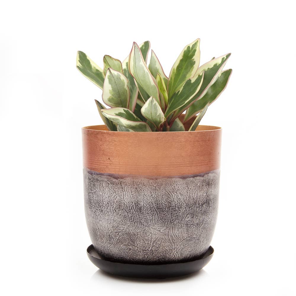 Metal Two Tone Pot - Joe Drainage 3.5-5in 8 Colors