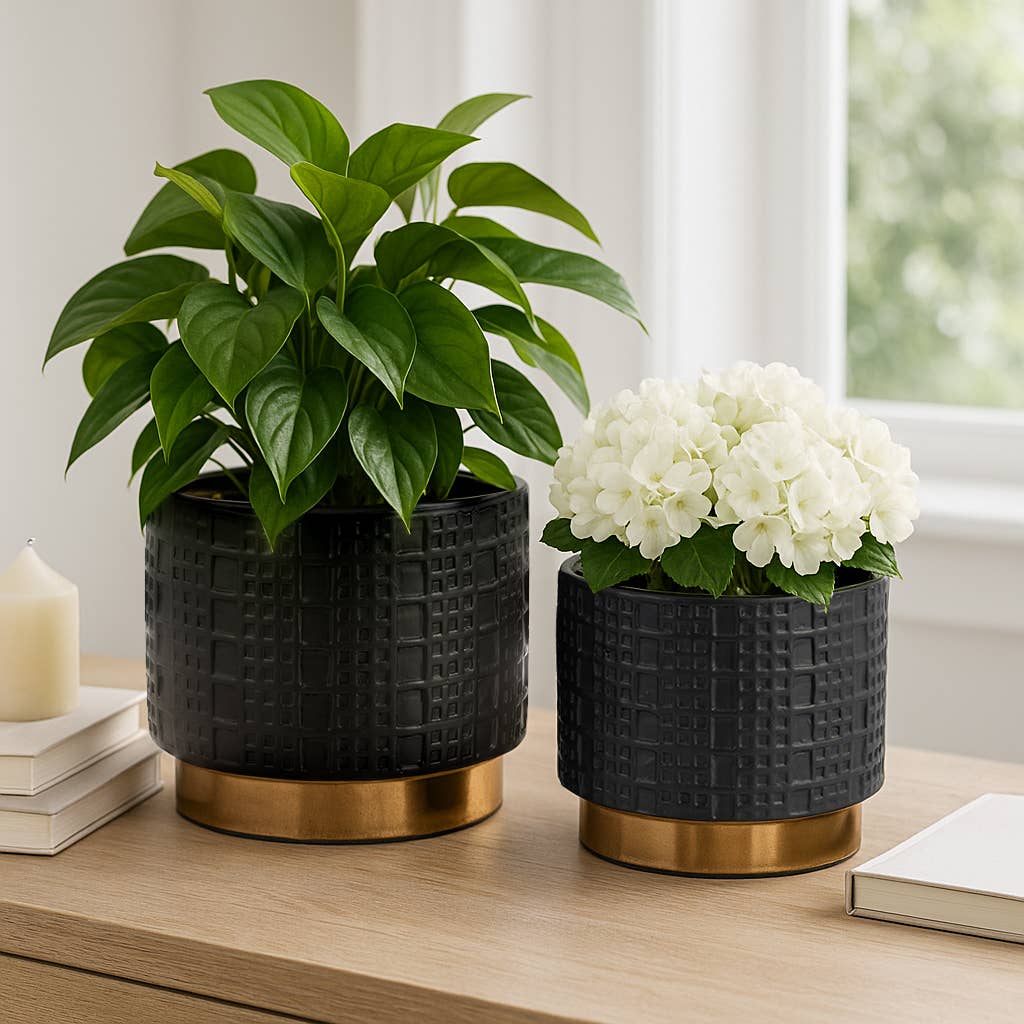 Ceramic Raised Mesh Planter - Black, 6 in